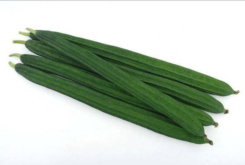 UGRA Sponge Gourd: SAN-C Seed  (300 per packet)