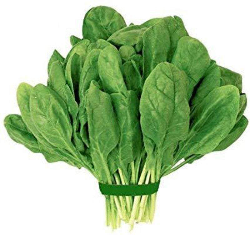 Gromax India Palak Seeds With Free Try Me Seeds Pack Seed  (40 per packet)