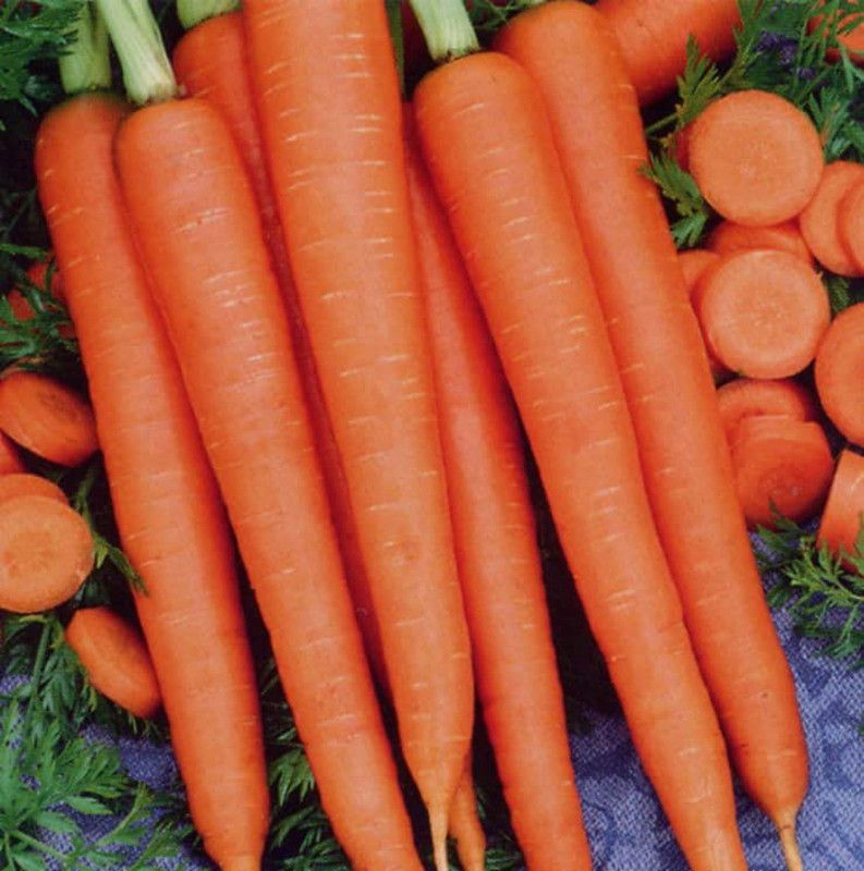 Paudha Carrot Hybrid Seed  (17 per packet)