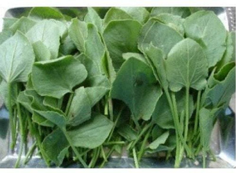 PMB Organic chukkakura Seed  (12 per packet)