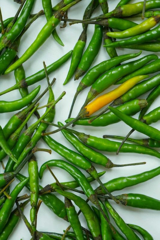 Mozette Organic Green Chilli F1 Seed  (35 per packet)