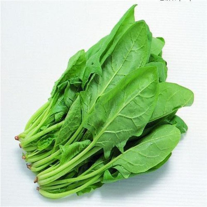 PLANTZON Spinach Seed  (50 per packet)