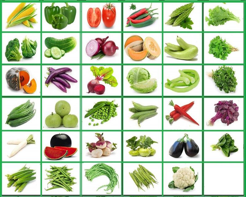 VibeX Seeds Easy to Grow Microgreens Vegetable Seeds Seed  (1750 per packet)