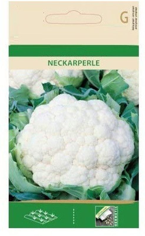 Qualtivate ® Cauliflower NECKARPERLE Seeds Seed  (1000 per packet)