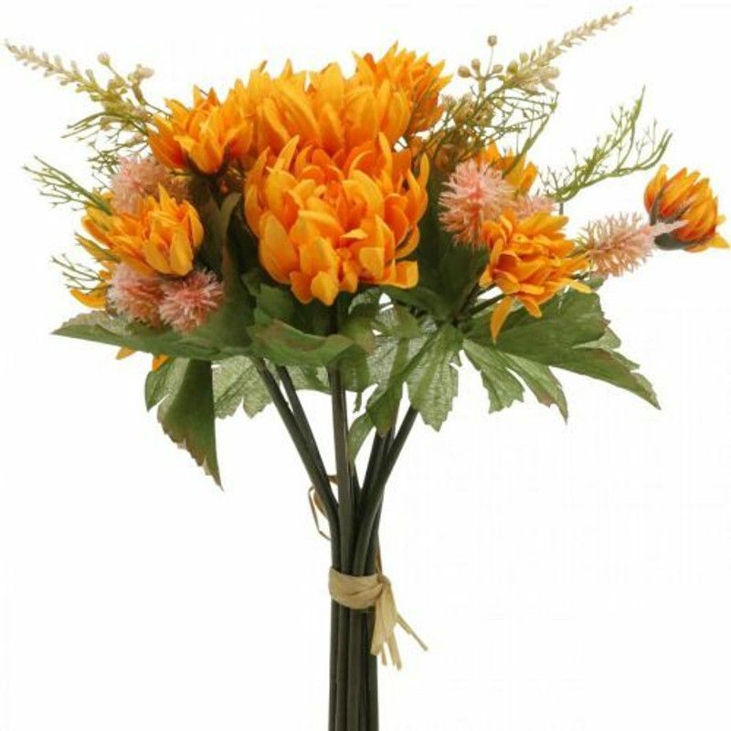Mozette Exotic chrysanthemum Seed  (28 per packet)