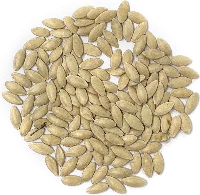 WILLVINE PAU-5 Cucumber Seeds (Marketmore) Seed  (400 per packet)