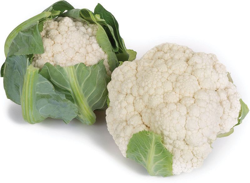 ANDOR Organic white cauliflowe फूल गोभी Seed  (100 per packet)