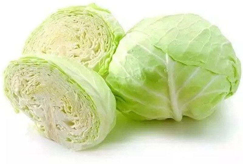MYLAWN Cabbage round (बंधा गोभी के बीज) Seed  (200 per packet)