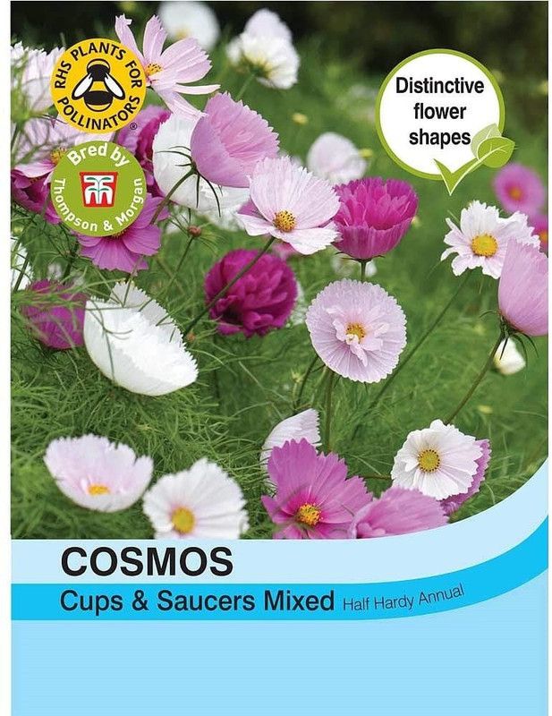 CYBEXIS Flower - Cosmos Seashells Mixed Seed  (1 g)