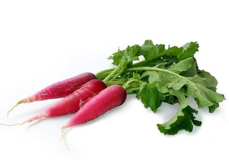 XOLDA Red Radish Seed  (33 per packet)