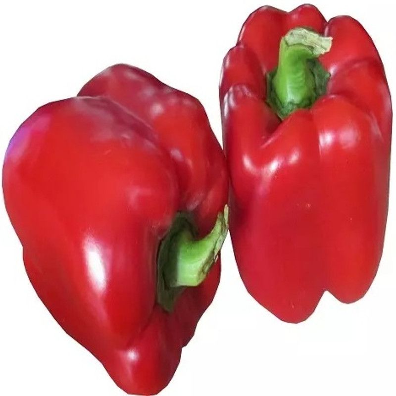 Kirat Capsicum/Shimla Mirch/Bell Pepper Seed  (200 per packet)