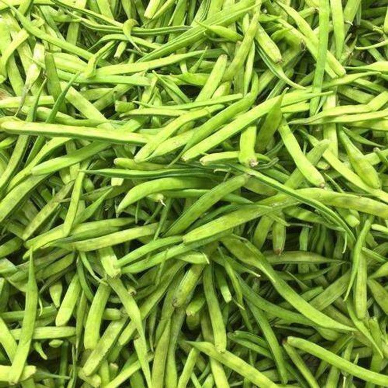 Paudha Clusterbeans Seed  (30 per packet)