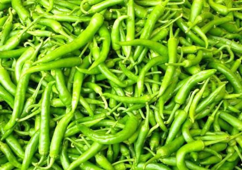 Nodoc Organic Green Chilli F1 Seed  (30 per packet)