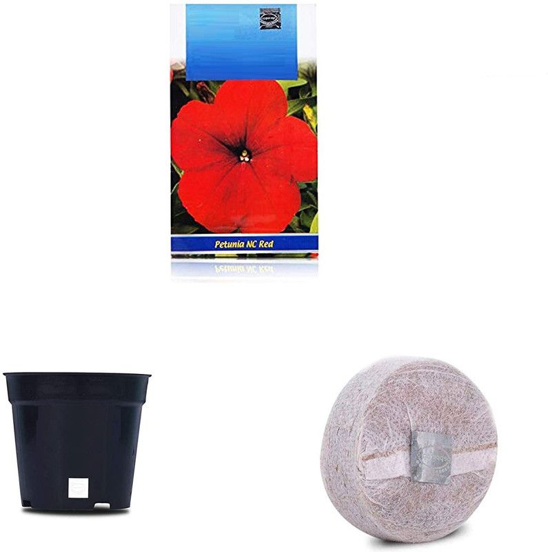 VibeX CBZ-47-Petunia Scarlet Red F1 Hybrid Combo with Potter & Rootplug Seed  (35 per packet)