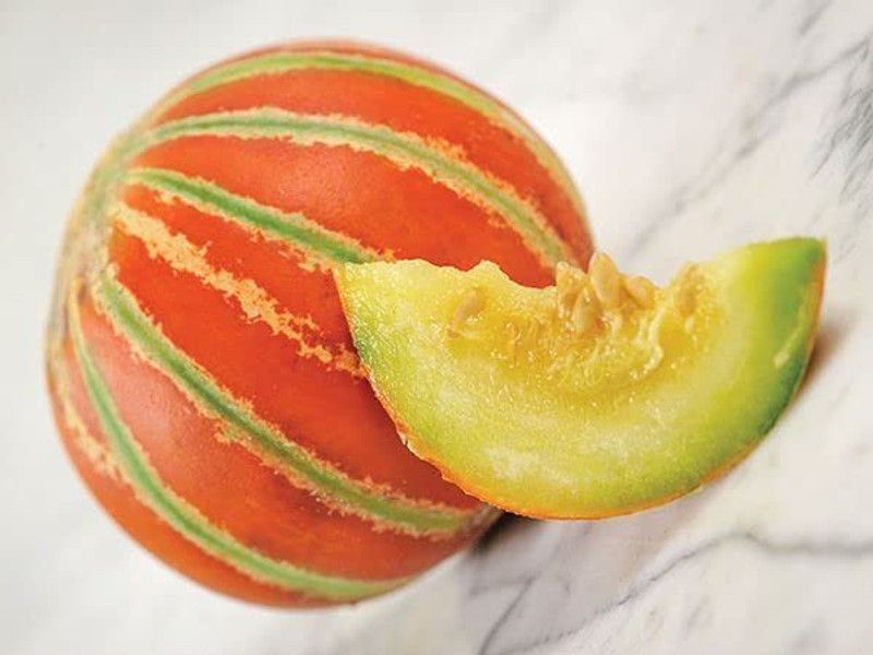 JRYU Muskmelon Seed  (130 per packet)