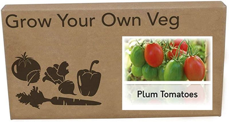 CYBEXIS Heirloom Tomato Plum Roma Seeds1000 Seeds Seed  (1000 per packet)