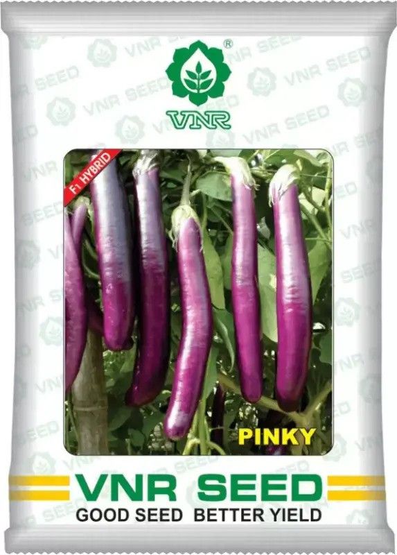 THAMMAR vnr PINKY hybrid brinjal Seed (10 g) Seed  (10 per packet)