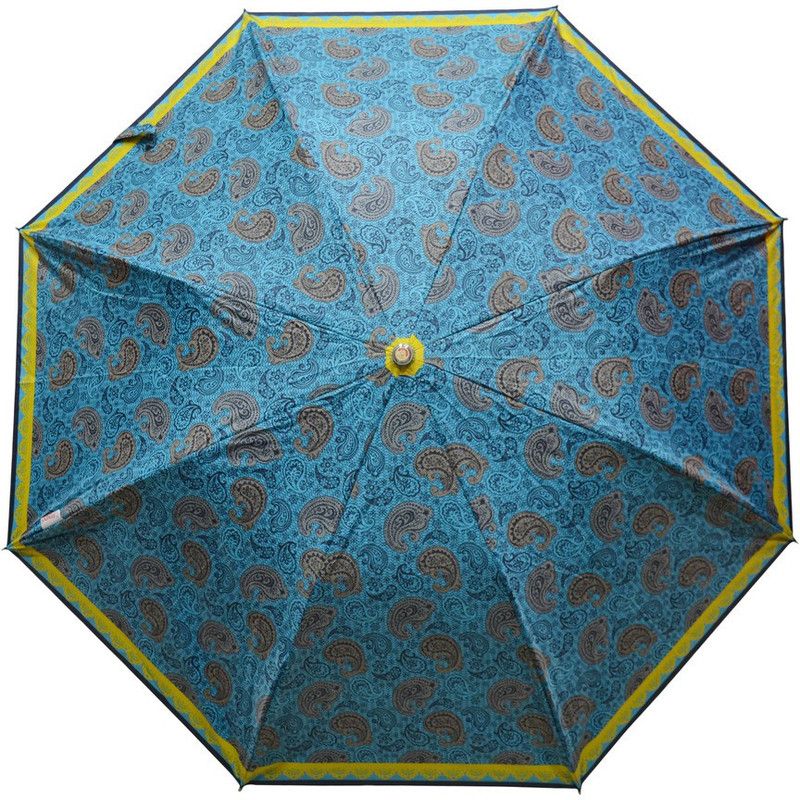 Fendo 2 Fold Auto Open Multi color 400123_F Umbrella  (Multicolor)