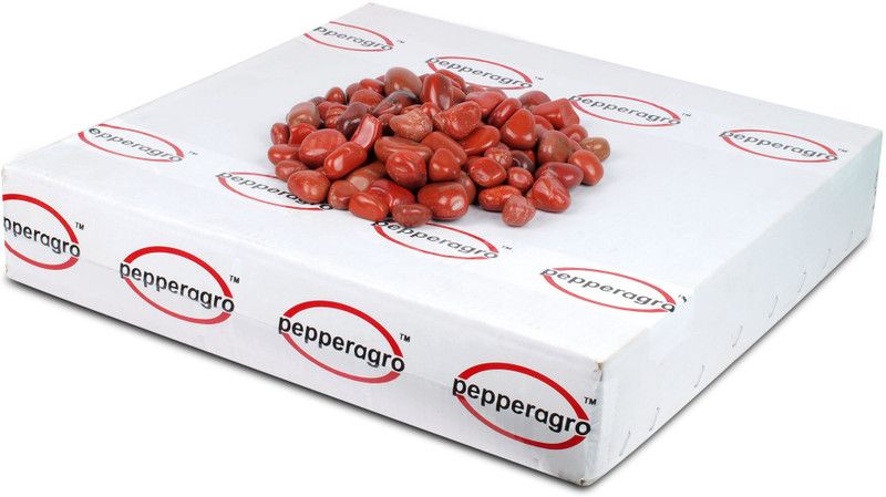 Pepper Agro Pebbles Stones for Decoration / Garden / Table / Aquarium 15 to 25 mm Jasper Red Pebble, 4.7 Kg Polished Oval Jasper Pebbles  (Red 4.7 kg)