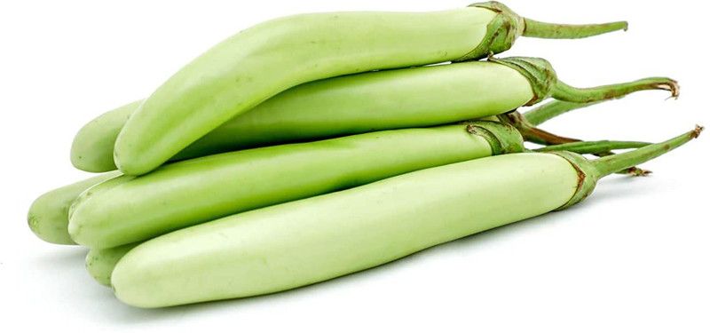 KANAYA Brinjal Seed  (500 per packet)