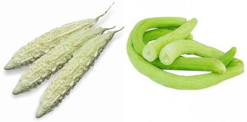 xcentax BITTER GOURD, Cucumis (Kakdi) Seed  (12 per packet)