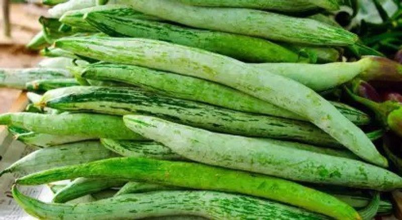 Chalisa Snake Gourd Seed  (26 per packet)