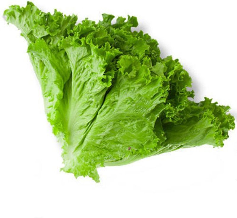Mozette Lettuce Seed  (45 per packet)