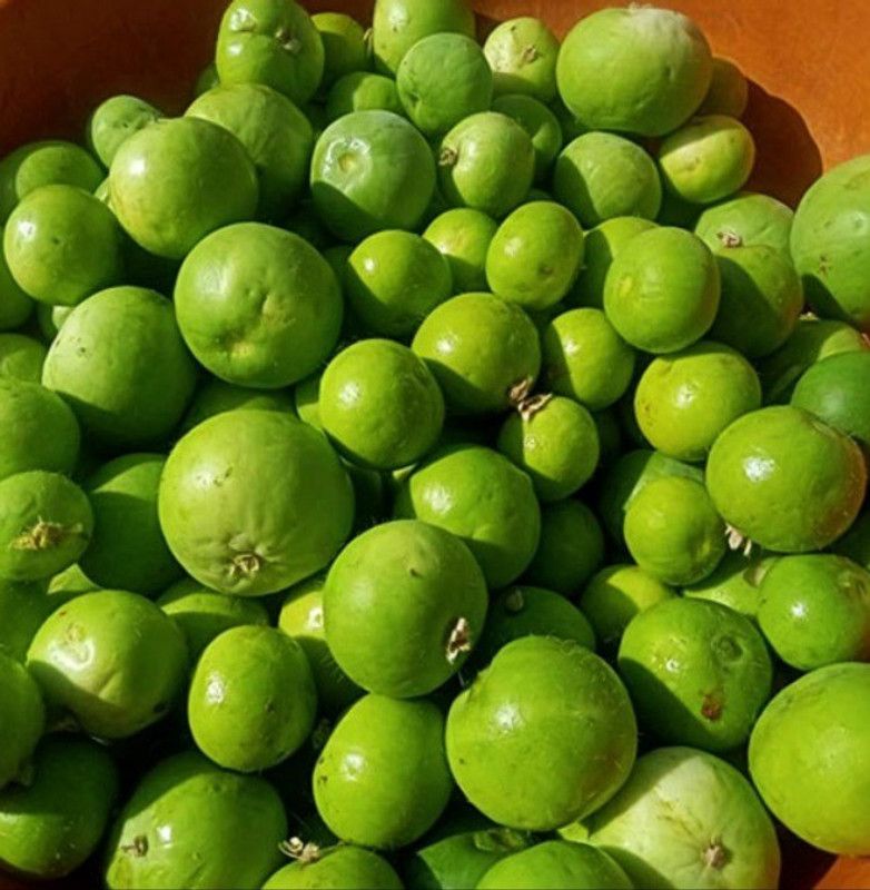 KLARKEE Tinda Seed  (50 per packet)