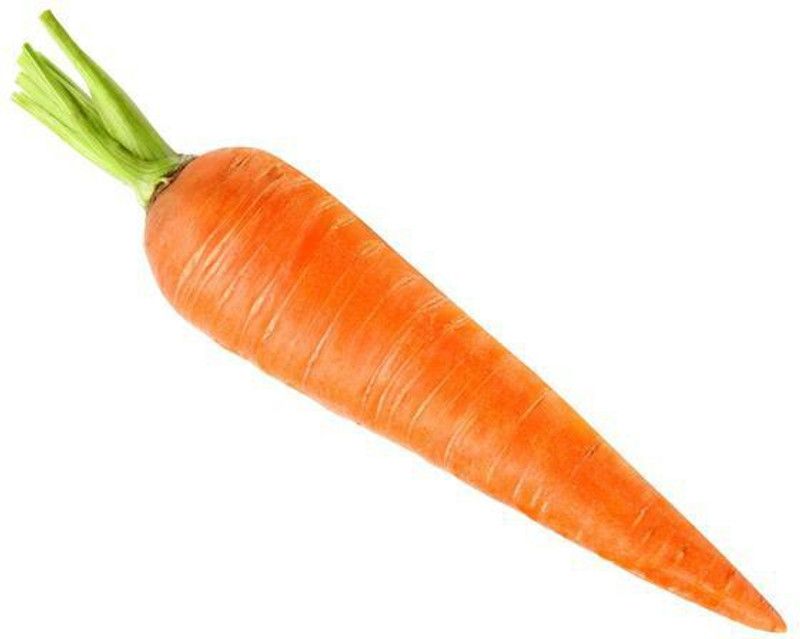 Xesas Hybrid Carrot Seed  (110 per packet)