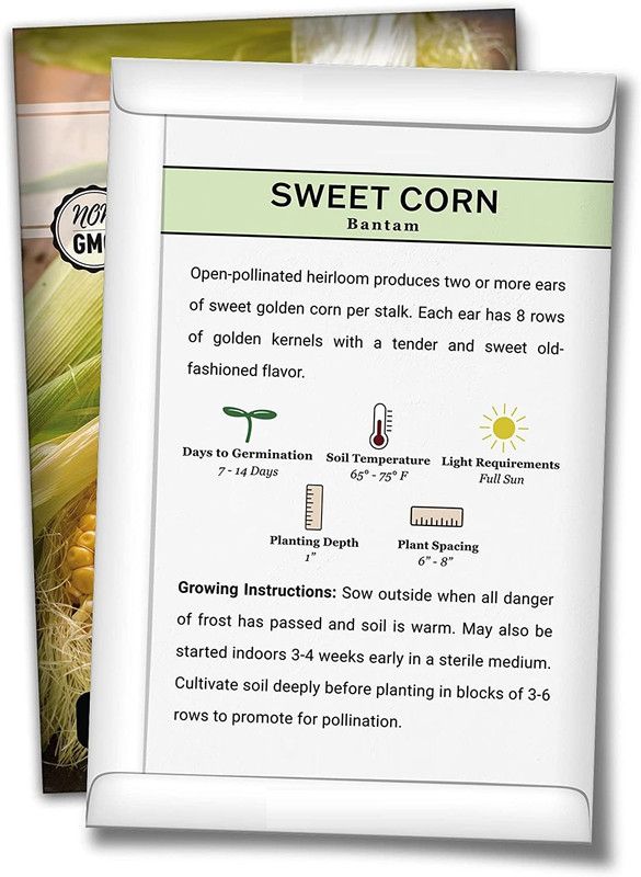 VibeX ® XXL-28 Bantam Sweet Corn Seed Seed  (500 per packet)