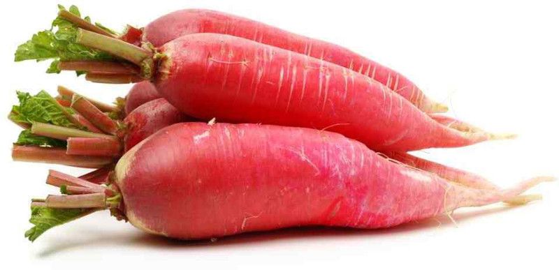 XOLDA Red Radish Vegetable Seed  (15 per packet)