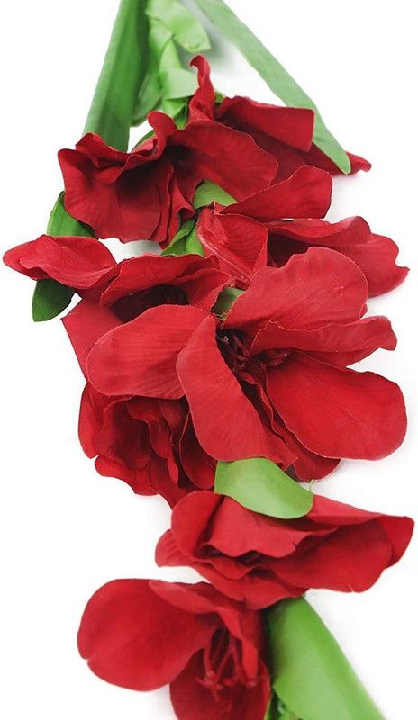 DIOART ™ VXI-1407 -8 Bulbs Seed  (8 per packet)