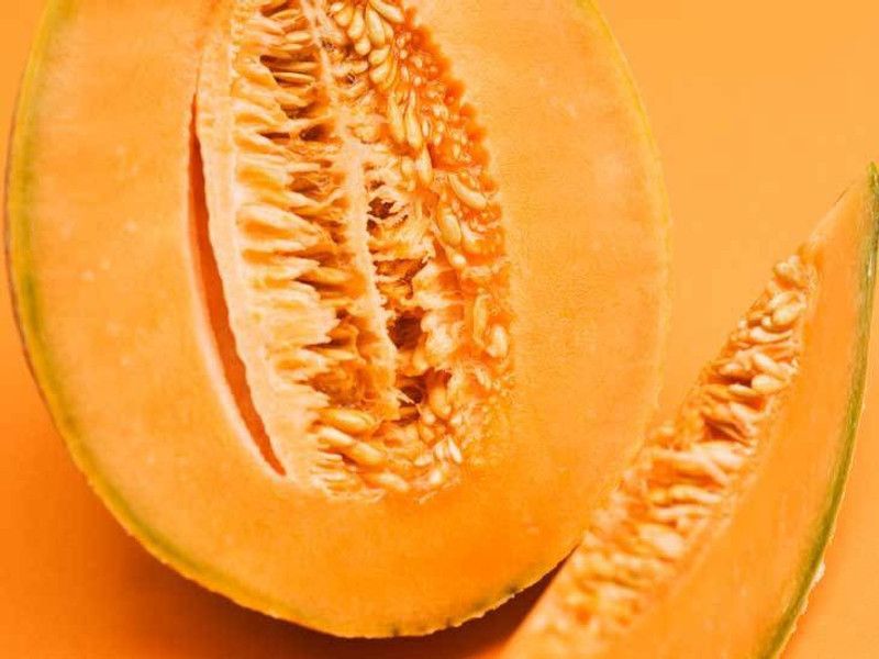 PLANTZON Muskmelon Hybrid Imported Seed  (30 per packet)