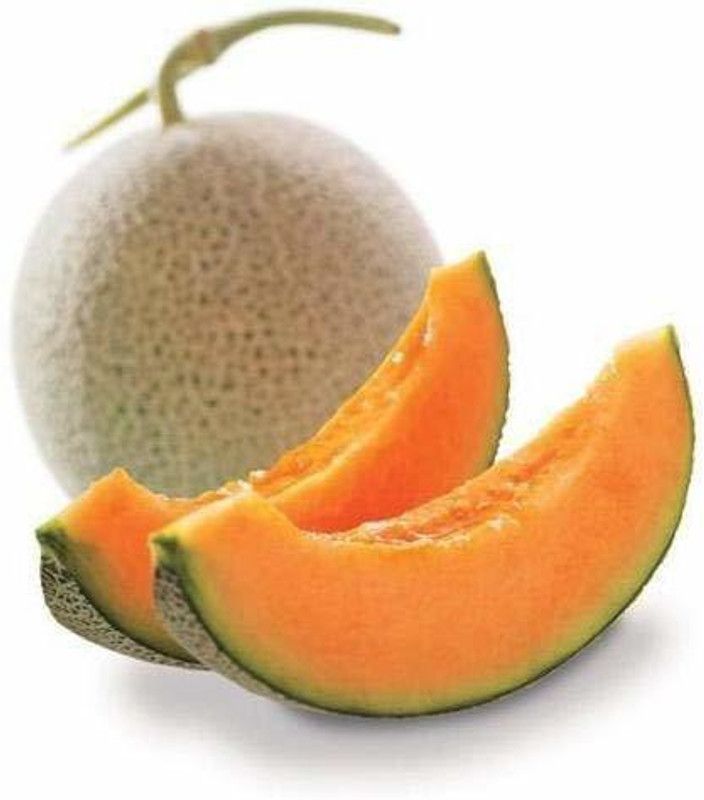JRYU Kharbuja F1 Hybrid Seed  (270 per packet)