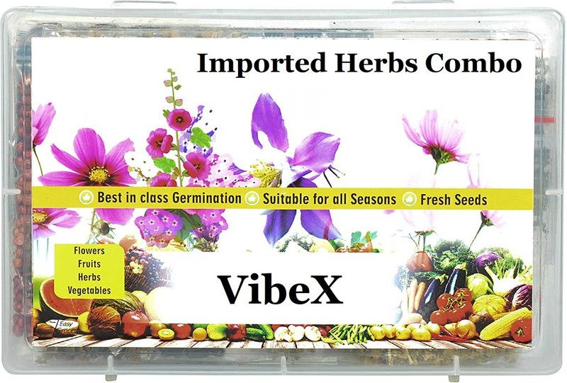 VibeX 15-Varieties-Imported Herbs Combo Seed  (525 per packet)