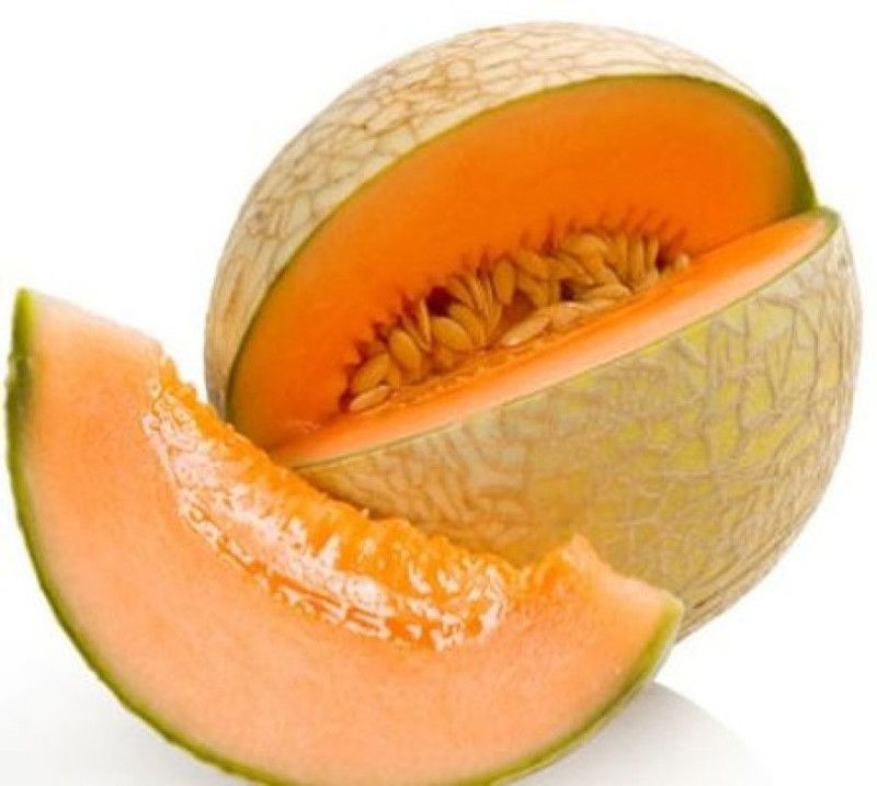 XOLDA MuskMelon Hybrid Seed  (16 per packet)