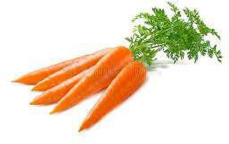 Paudha ORANGE CARROT SEEDS Seed  (240 per packet)