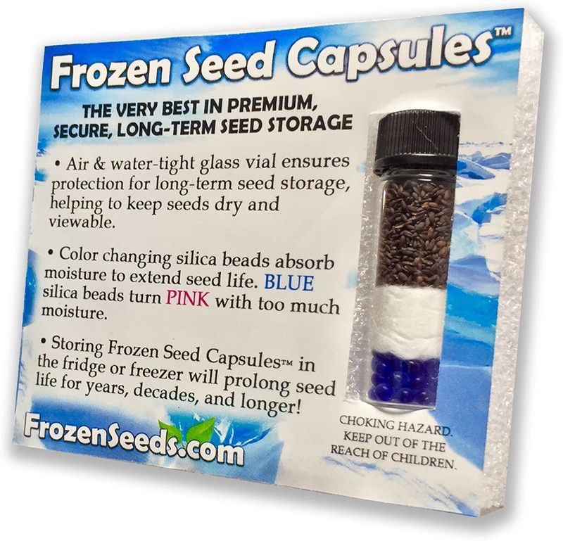 WILLVINE FROZEN SEED CAPSULES Emily Basil Seeds (Ocimum basilicum) Seed  (500 per packet)