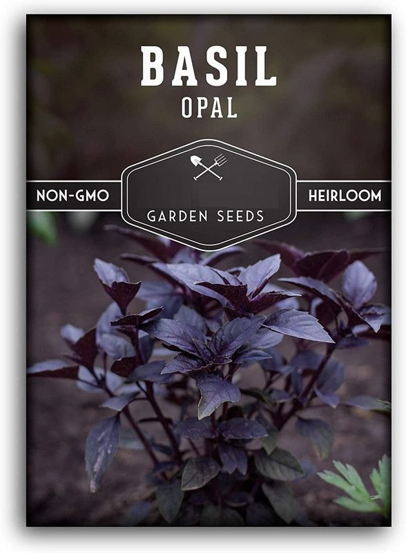 VibeX ® RXI-86 Opal Basil Seed Seed  (1000 per packet)