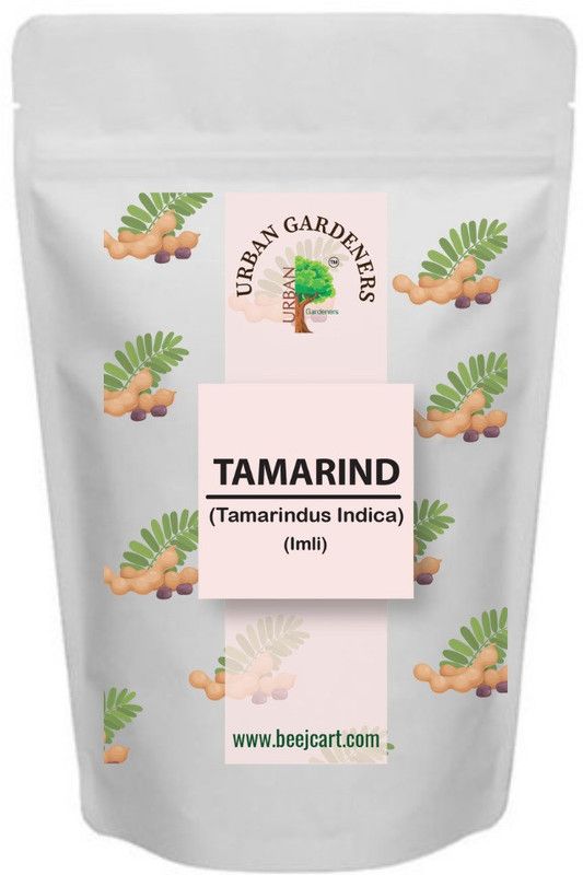 48 Degrees Organic Tamarind Tree Seeds Seed  (100 g)