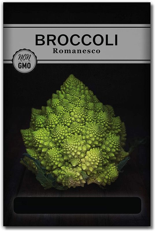 WILLVINE Romanesco Broccoli Seeds Seed  (200 per packet)