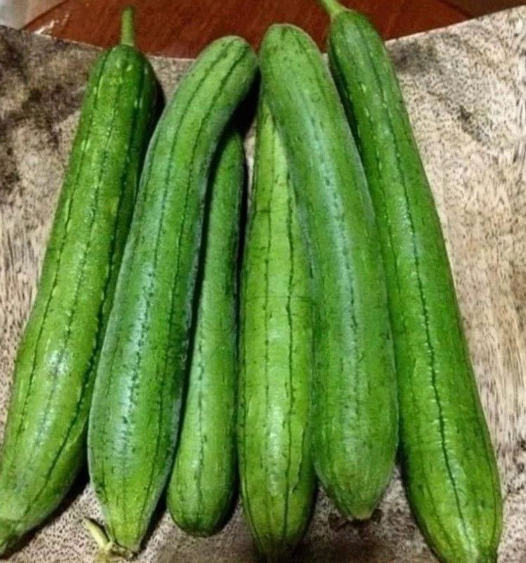 UGRA Smooth Luffa, the sponge gourd Seed  (1000 per packet)