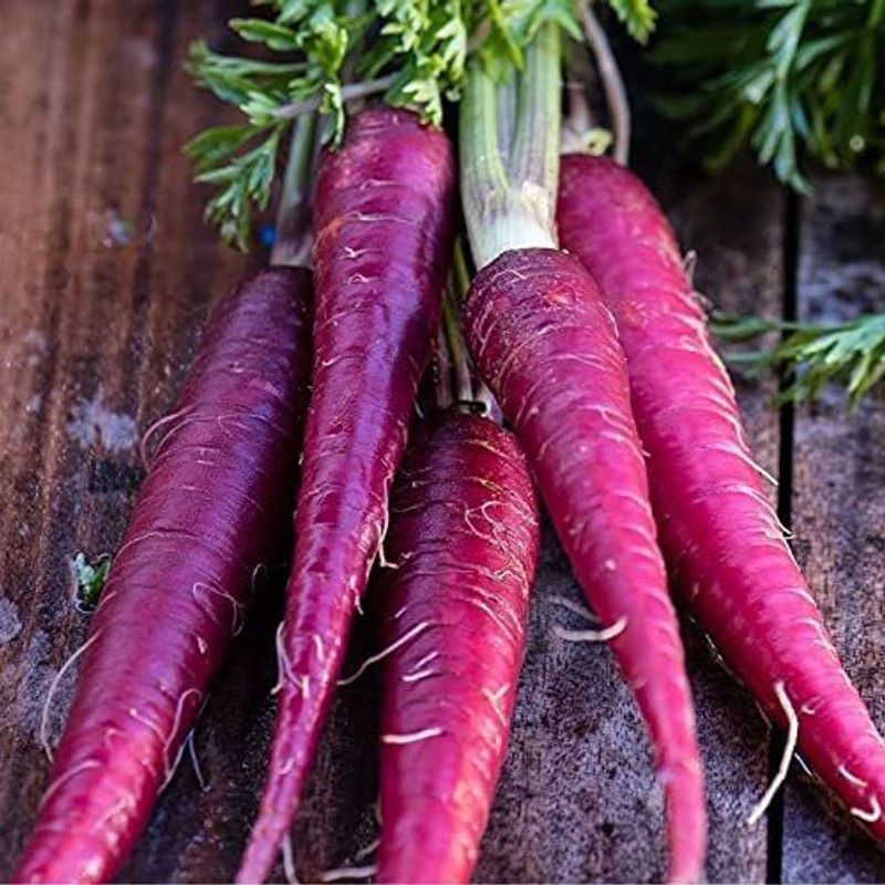 VibeX TLX-7 - COSMIC PURPLE CARROT - (750 Seeds) Seed  (750 per packet)