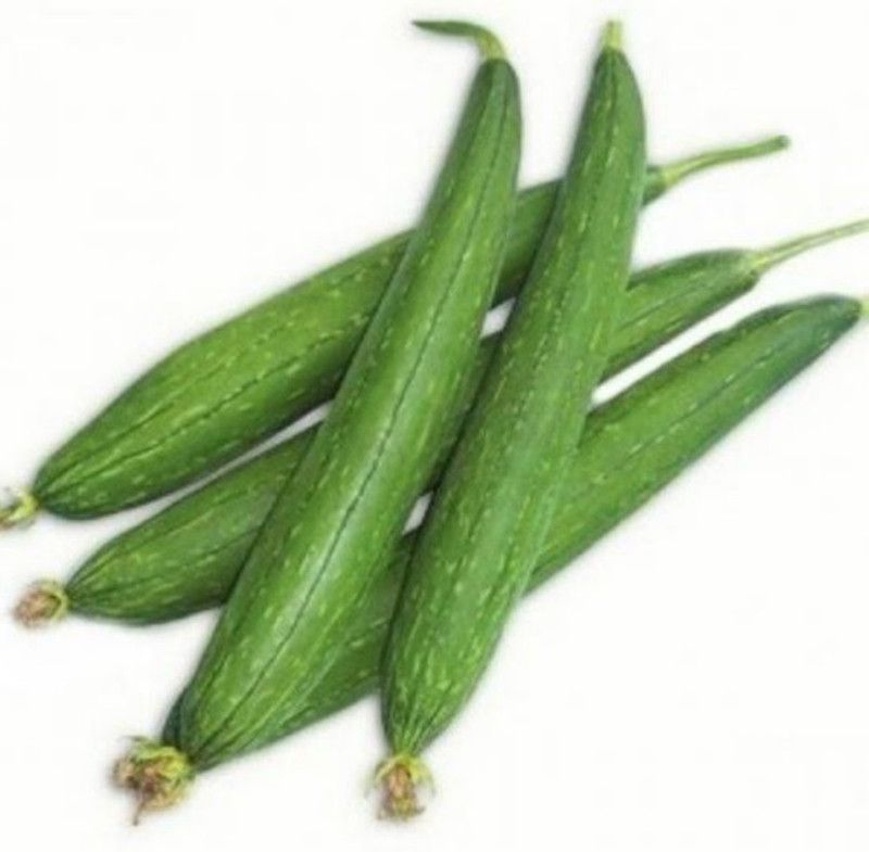 UGRA Sponge gourd turai tori Seed  (400 per packet)