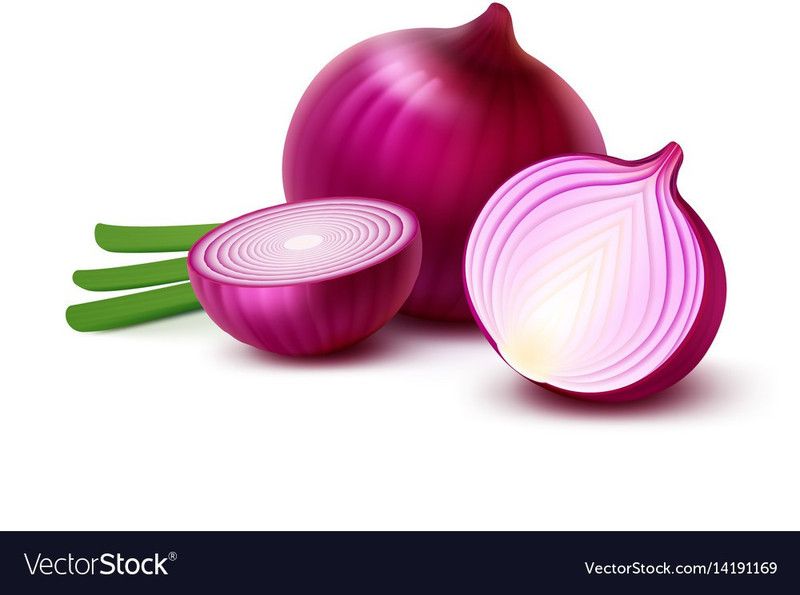XOLDA Red onion Seed  (37 per packet)