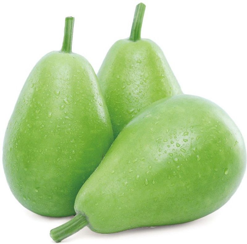 Hybrid Galaxy Fresh VNR Bottle Gourd Vegetable Quality Seeds Seed  (10 per packet)