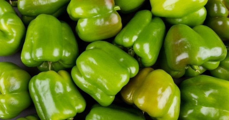 XOLDA Capsicum Seed  (23 per packet)