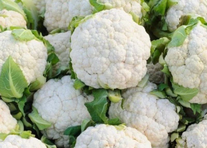 ANDOR Cauliflower Seed  (400 per packet)