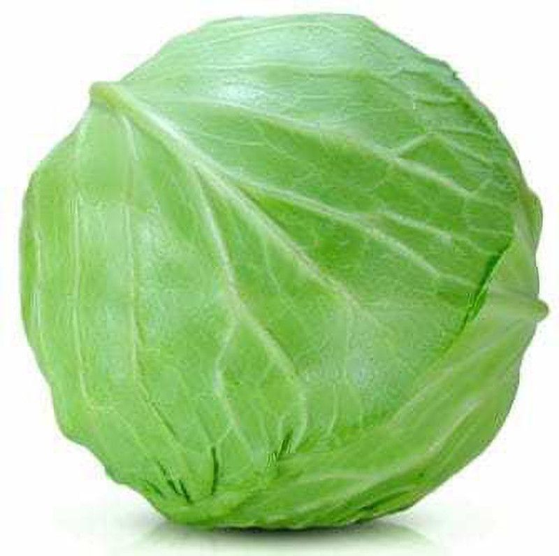 Mozette Cabbage Seed  (87 per packet)