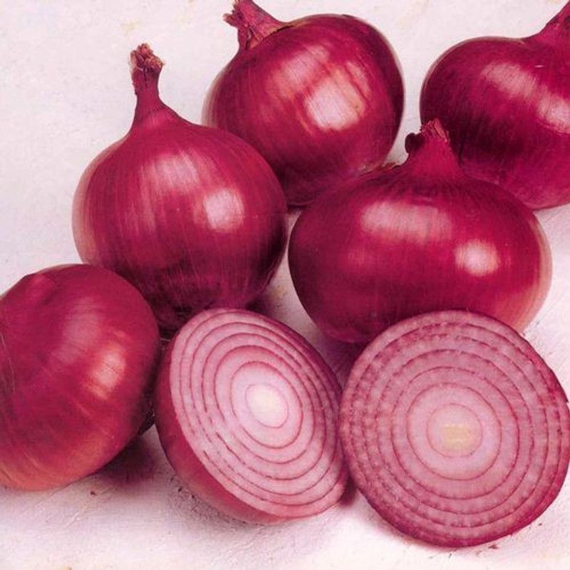 Nodoc Red onion Seed  (103 per packet)